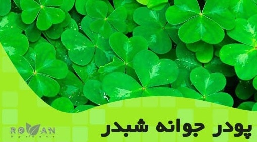 فروش پودر جوانه شبدر