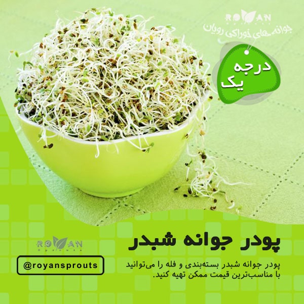 خرید پودر جوانه شبدر